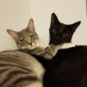 Meet your Posher, Stacy